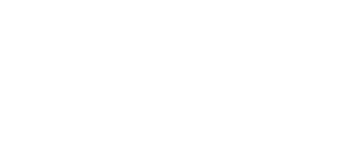 Paris Entertainment Company